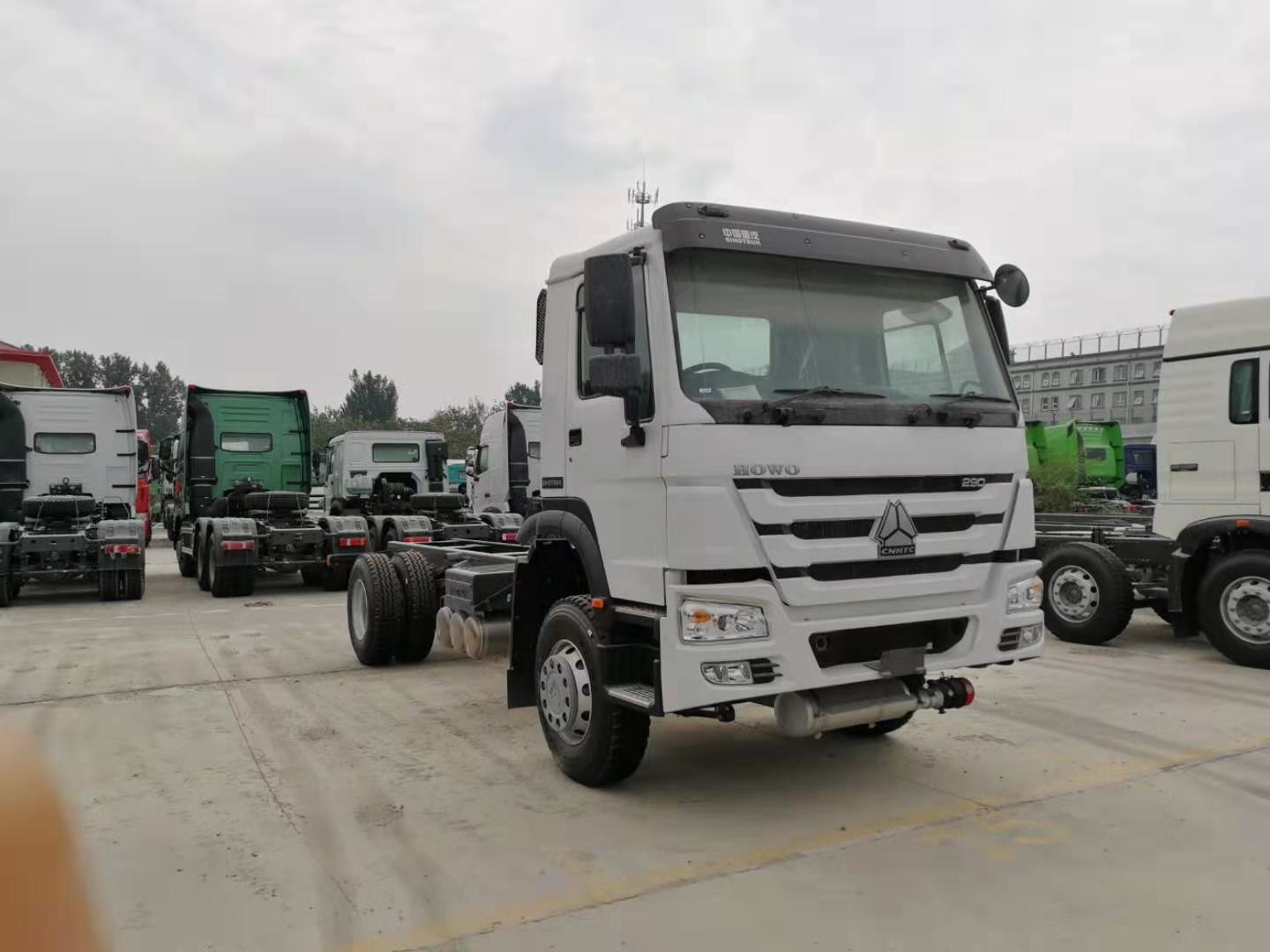 HOWO白い色4x2のユーロ2の290 HPエンジンおよびZF8118ステアリングが付いている重い貨物トラック