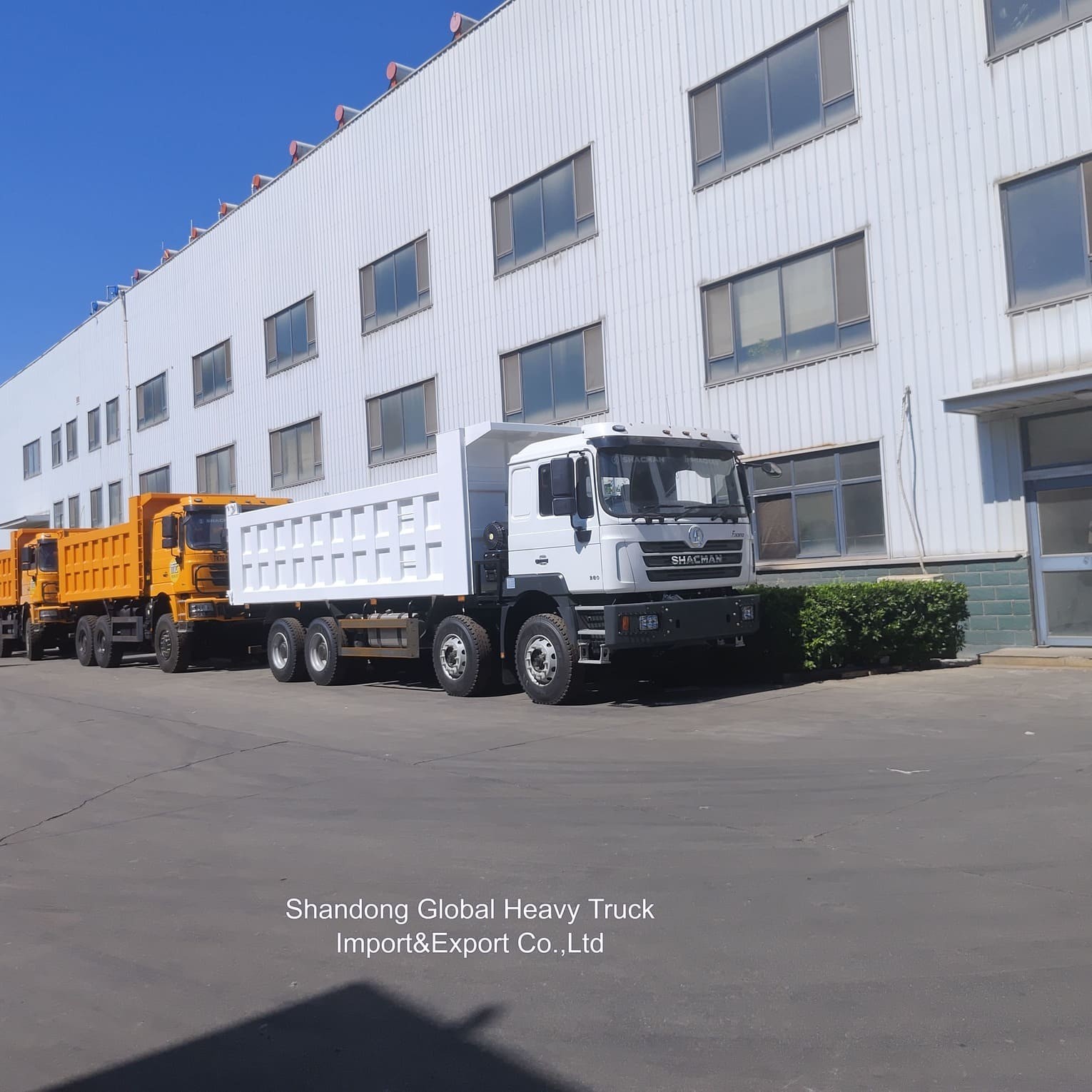 Shacman F3000 X3000 FAW ベンゼ 工場 ダンプ トラック ティッパー トラック 貨物 輸送 トラック
