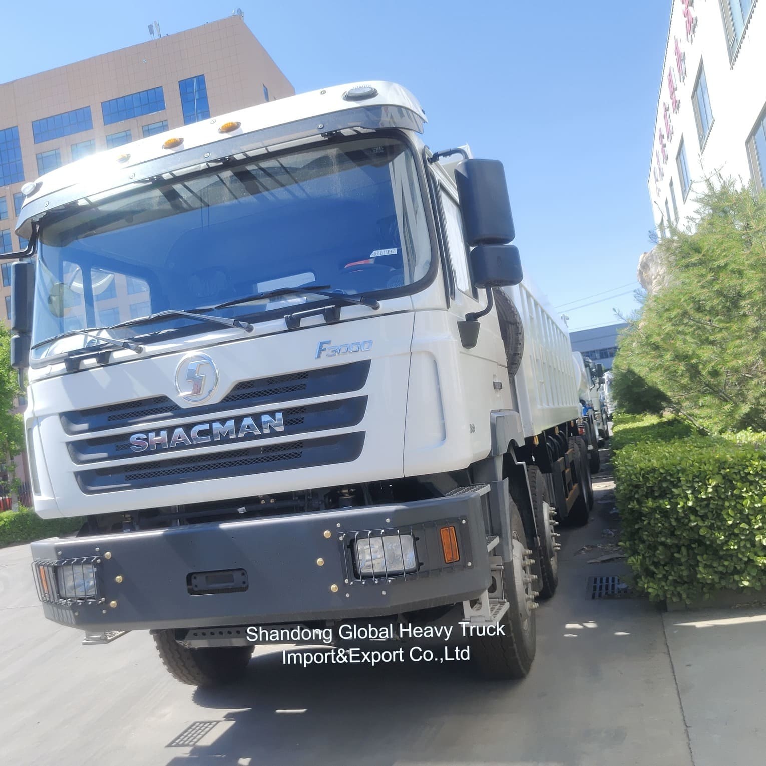 F3000 6X4 40トンのシャックマン重型ダンパー/ティッパー/ダンプトラック