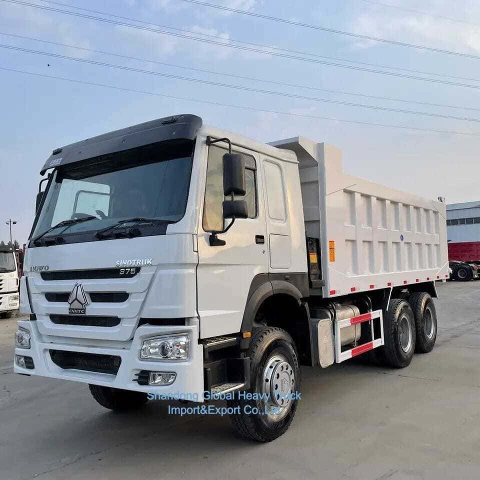 中古 32 30 35 トン トラック ターパー ディーゼル 中古 シノトラック HOWO 6X4 ダンプトラック