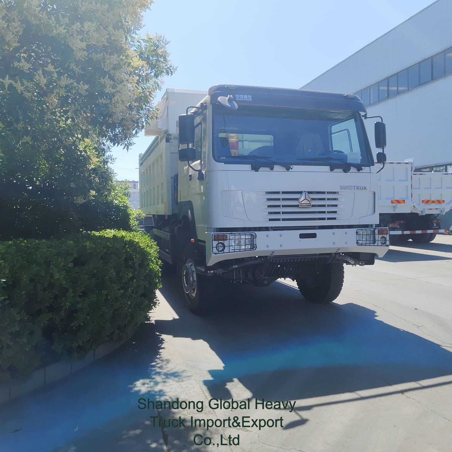 シノトラック HOWO 6X4 371HP 380HP 8X4 400HP ダンパーティパーティッピングディーゼルシノトラック
