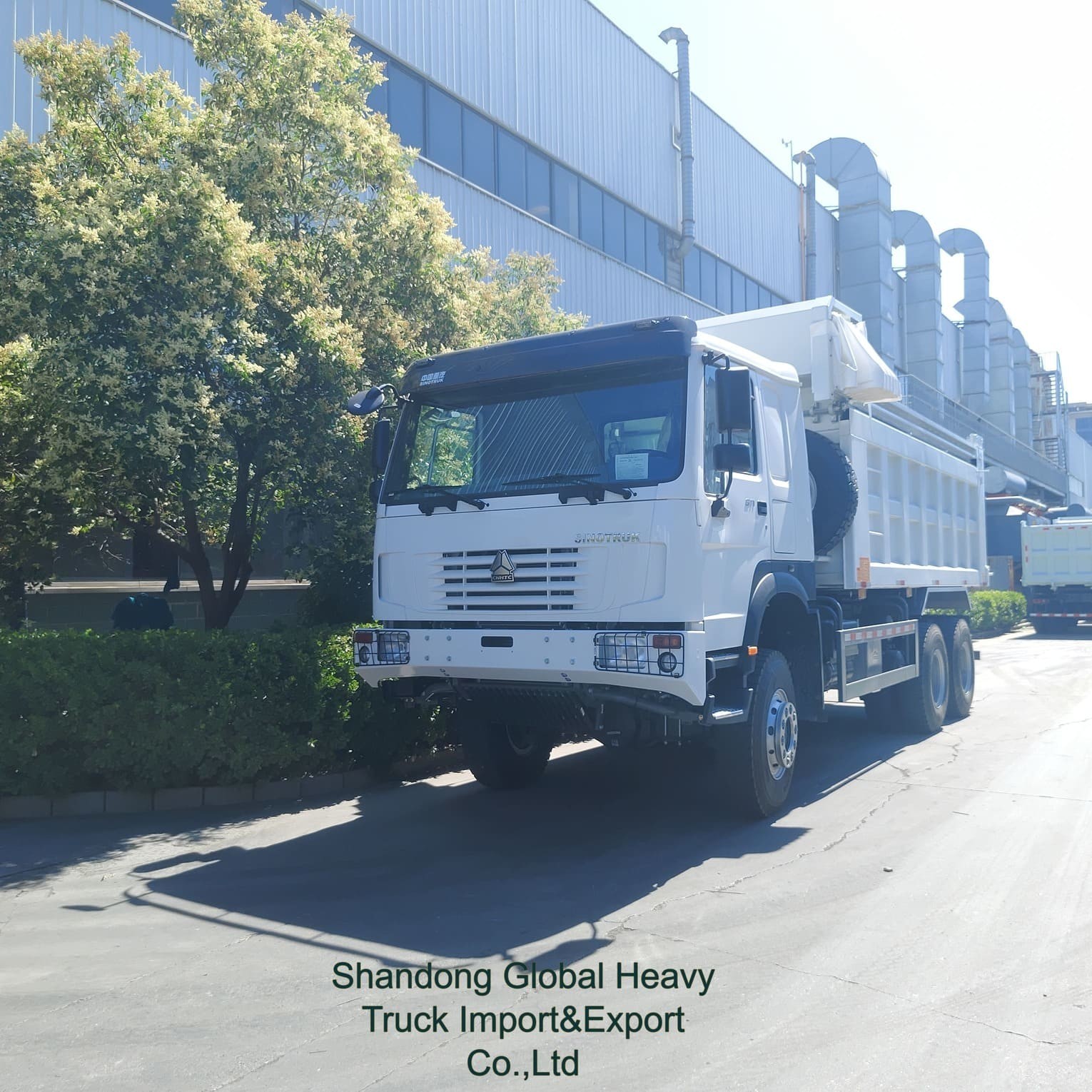 ホットセール Sinotruk HOWO 中古 新作メーカー 貨物 ターピング ターピング ダンプ トラック