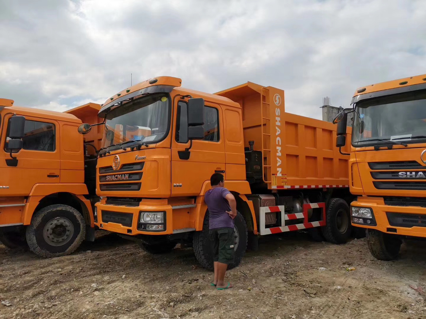 2024年 中国 / 中国 / Cnhtc 最優秀 新作 公式 シャックマン F3000 重荷 6X4 HOWO 15t-30t ダンプトラック